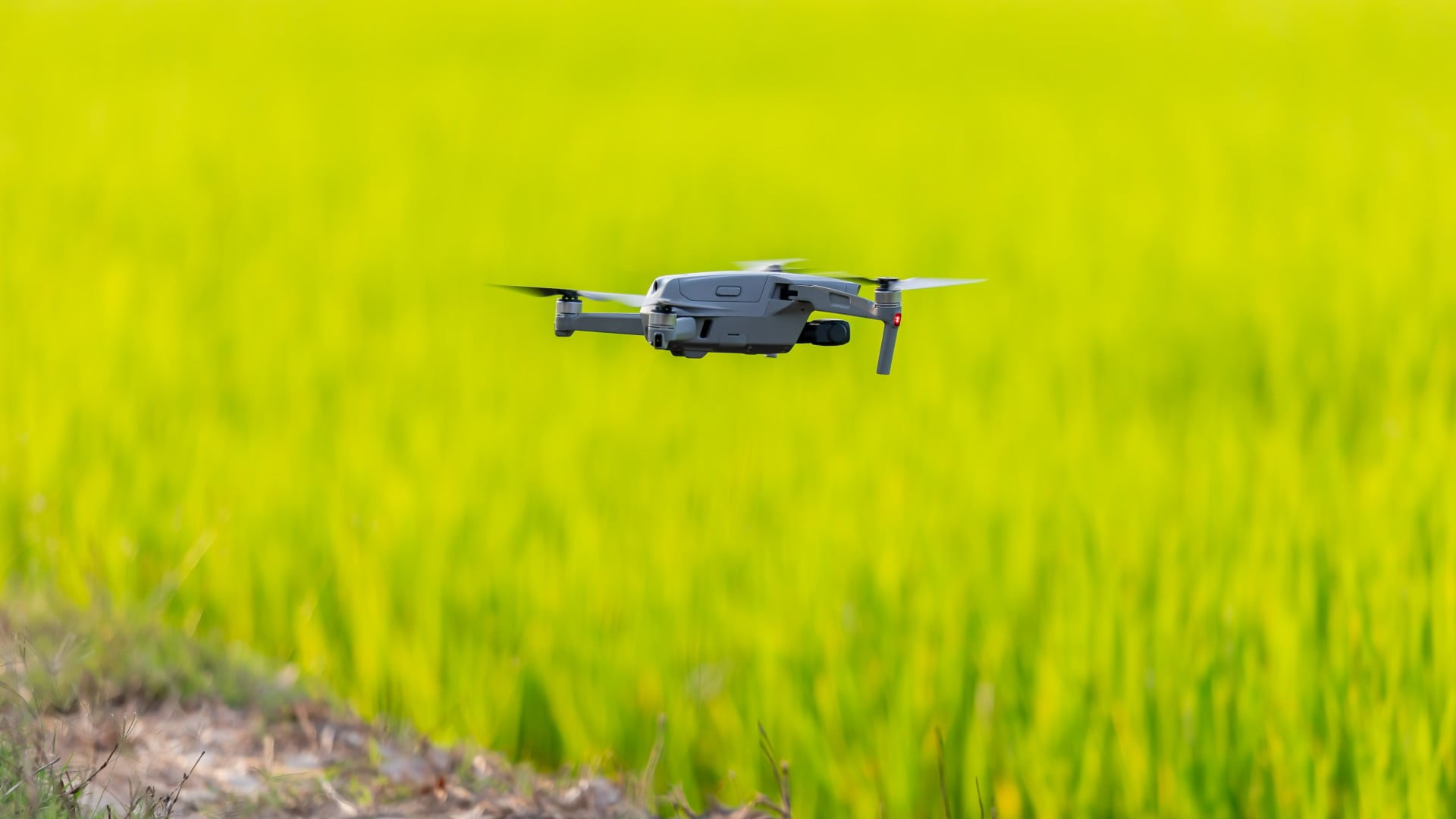 Drohnenaufnahme über einem Feld
